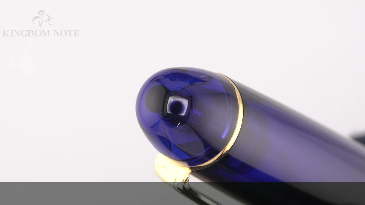 PLATINUM プラチナ 万年筆 #3776 センチュリー シャルトルブルー PNB