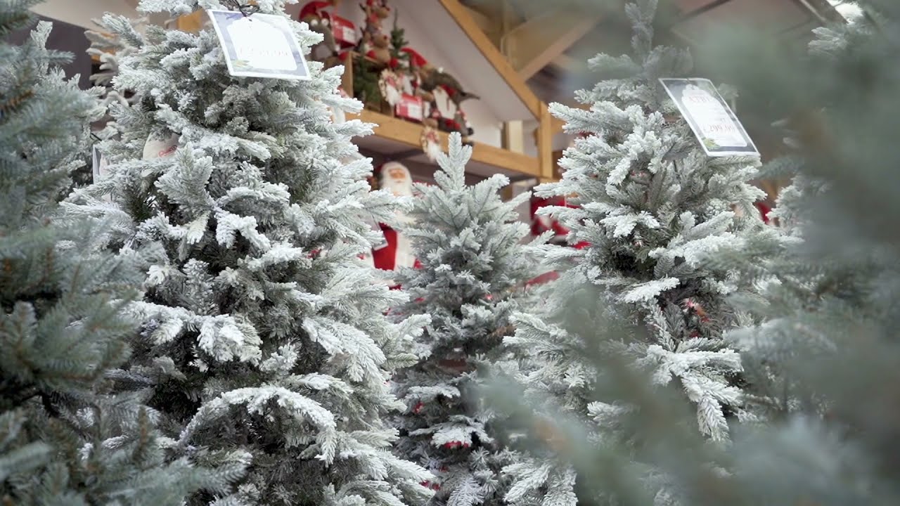 Browse our fantastic range of artificial trees in store or online today!