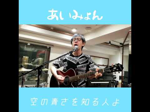 【Cover】空の青さを知る人よ/あいみょん【弾き語り】