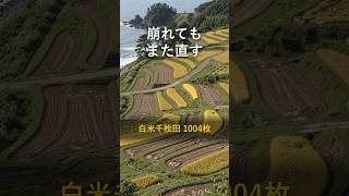 白米千枚田は、崩れない田んぼではなかった