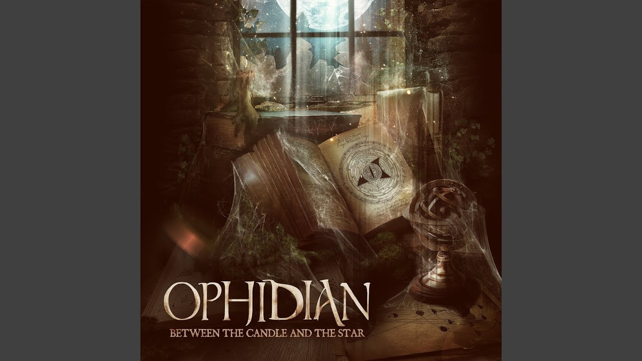 Particle Physics (Ophidian Remix)