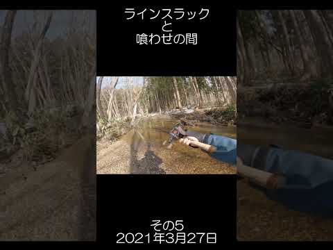 ラインスラックと喰わせの間5  #渓流ミノーイング #釣り #ミノー