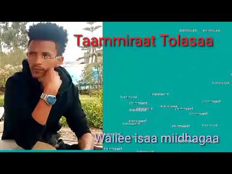 Taammiraat Tolasaa    Maaf Teenya hin qajeelluureenew Oromo music Gamtaa studio subscribe godhi