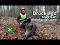 Drückjagd im Forstamt Reinhardshagen K&K Premium Jagd