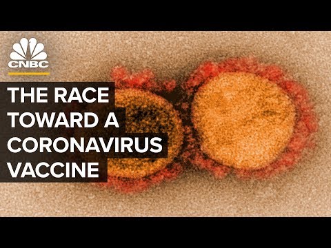The Race To Develop A Coronavirus Vaccine