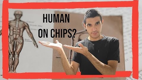 Humans on Chips: One Alternative to Animal Testing