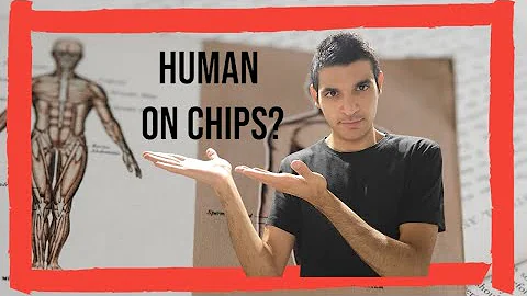 Humans on Chips: One Alternative to Animal Testing