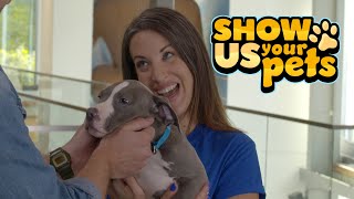 Most Adorable Pet Adoptions 💕  Holiday Special | Show Us Your Pets