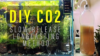 Slow Release or Long Lasting DIY CO2 for Planted Tanks | Tamil | Amudh Aquascapes