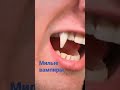 милые вампиры 