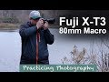 Fuji X-T3 And 80mm Macro Lens | Practicing Photography