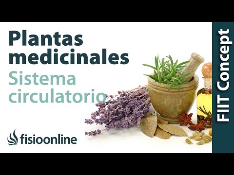 Vídeo: El Efecto De La Hipoxia En El Lipidoma De Pichia Pastoris Recombinante