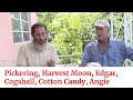 Mango Taste Test 6 Pickering Harvest Moon Edgar Cogshall Cotton Candy Angie Mango Taste Test 6 Pickering Harvest Moon Edgar Cogshall Cotton Candy Angie