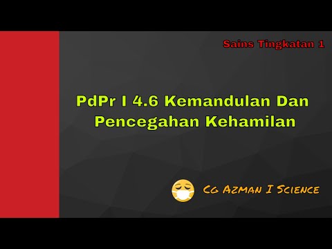 Video: Panduan 30 Hari Untuk Kejayaan IVF: Diet, Bahan Kimia, Seks Dan Banyak Lagi