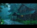 DORMIR RÁPIDO EM 5 MINUTOS - Som de Chuva Pesada, Vento e Trovoadas no Telhado à Noite para Dormir