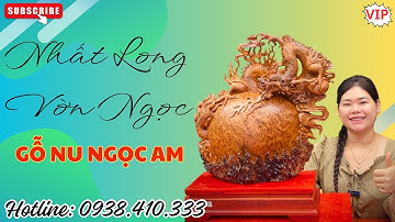 Tượng Nhất Long Vờn Ngọc Gỗ Nu Ngọc Am Vừa Đẹp Vừa Thơm| Tượng Gỗ Độc Đáo | 0938410333