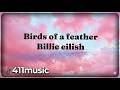 Birds Of A Feather Billie Eilish Lyrics 