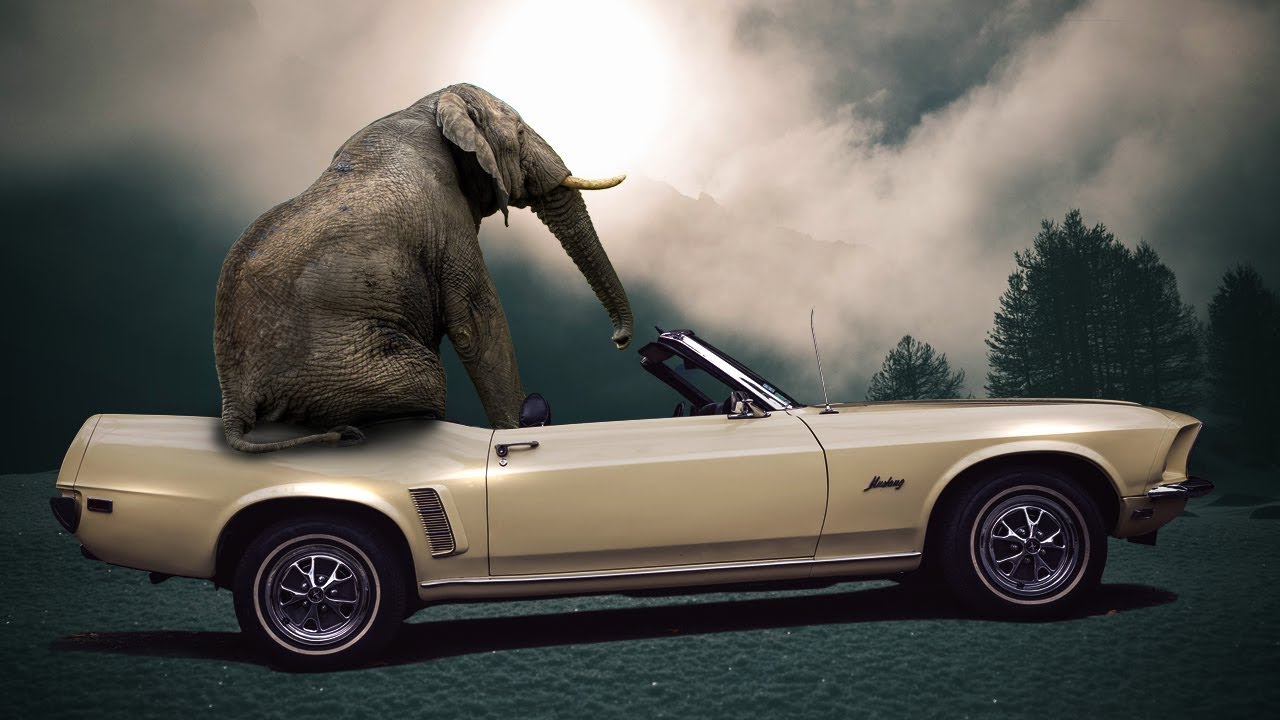 composite Elephant sitting on a classic car YouTube