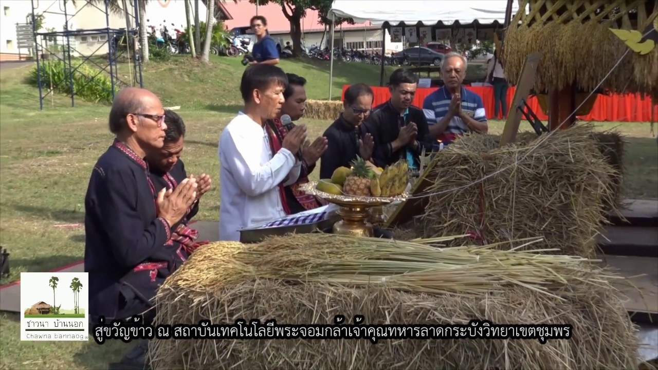 สู่ขวัญข้าว ภาคอีสาน จ.กาฬสินธุ์