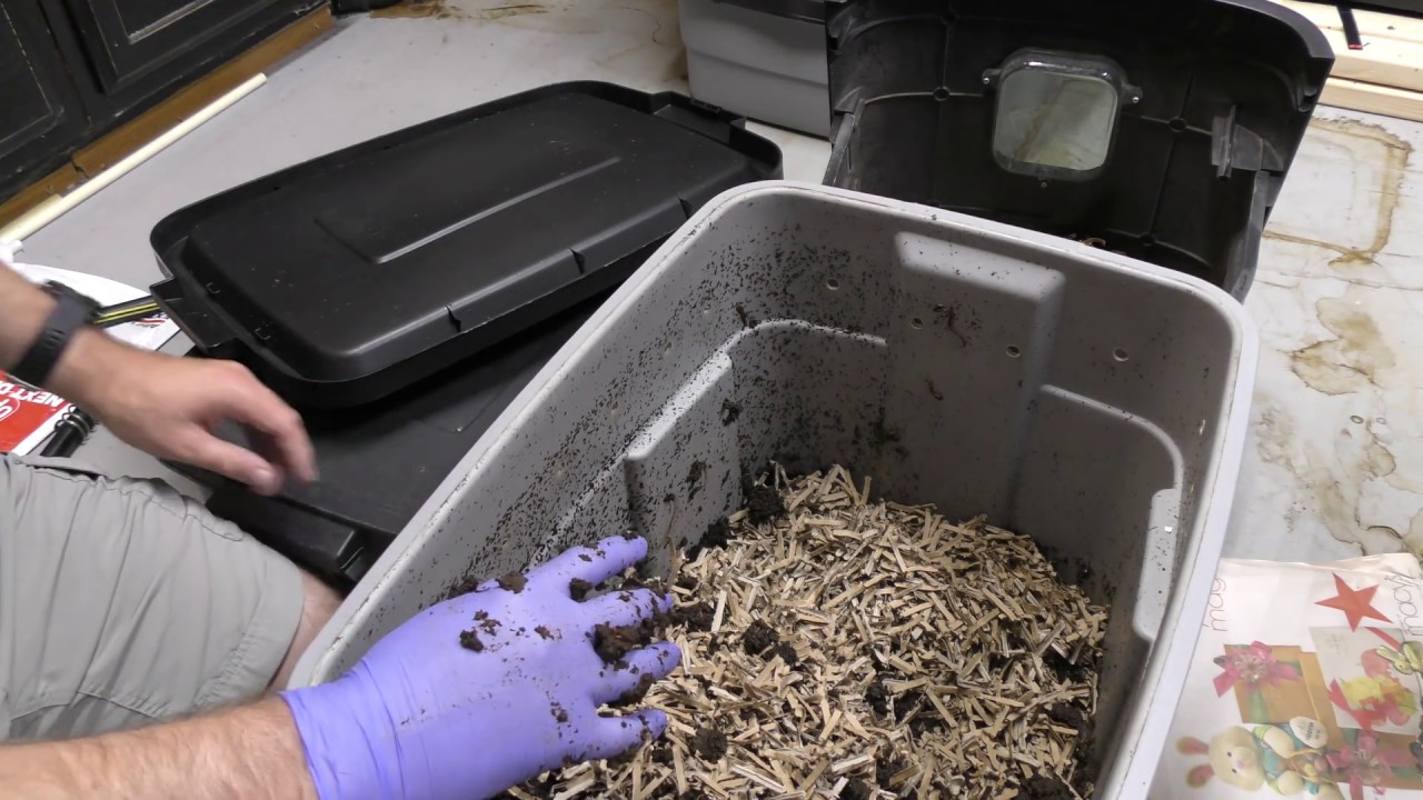 10 gallon tote gallon plastic 10 gallon vs 18 tote for worms youtube 10 gallon tote gallon plastic 10 gallon vs 18 tote for worms youtube