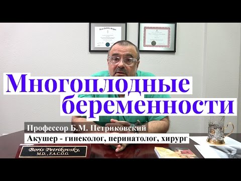Двойни и многоплодные беременности - интервью с профессором Петриковским о родах в США