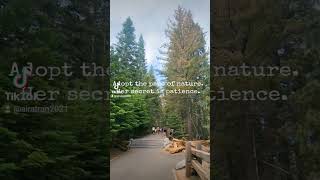 Driving and hiking around Sequoia National Park #nature #inspiration #inspirationalquotes #roadtrip