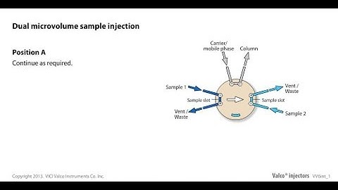 Valco dual microvolume sample injection