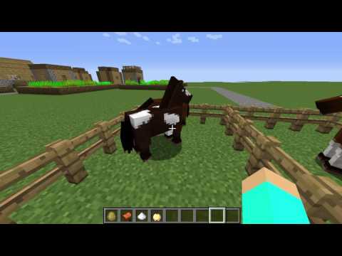 Video: Vad Hästar äter I Minecraft
