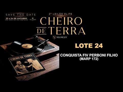 LOTE 24   MARP 172