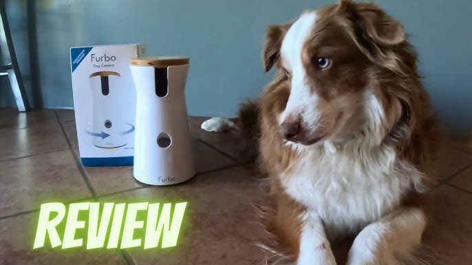 Meowant Dog Treat Dispenser with 2K Camera