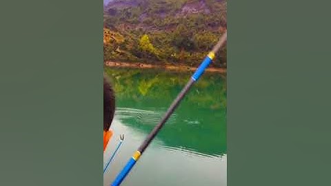 CÁc pha đóng cá rít cước cực đã tai..