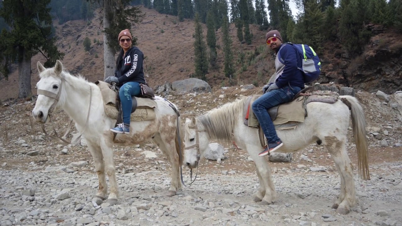 Travel To solang valley (Manali) By Horse Riding