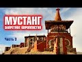 Реликвия древнего монастыря - МУСТАНГ: Запретное Королевство #3