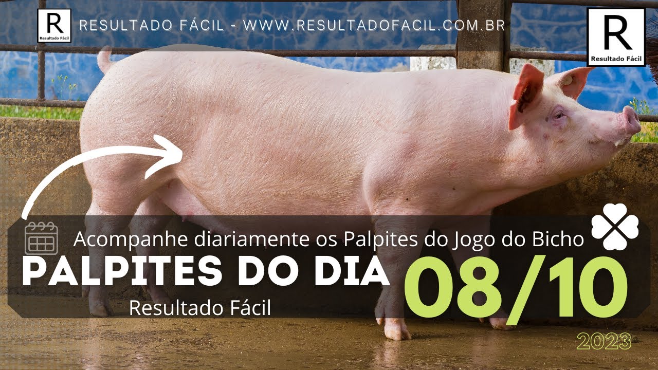 Ganhar Fácil - Palpites E Resultados Do Jogo Do Bicho on RadioPublic