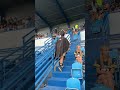 Tribuny posvěceny, Tipsport Czech Bowl XXXIII může začít! 🏟️✨