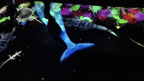 Wonderlan Projection Mapping