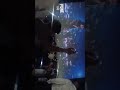 saiyaara song #song saiyaara beautiful song movie
