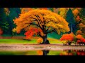 Autumn Scenery, Beautiful Fall Foliage, Peaceful Soothing Music, &quot;Autumn Leaves&quot; by Enjoy Myself