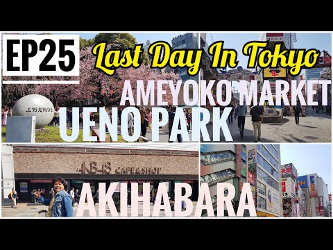 พาแม่เที่ยว โตเกียว EP.25 Last Day In Tokyo เก็บตก Ueno Park +Ameyoko market
