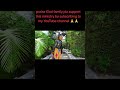 Nyota By EV LILLY K Gospeltrending Makemefamous Rosemuhandoofficial5676 Gospelpraisebr 