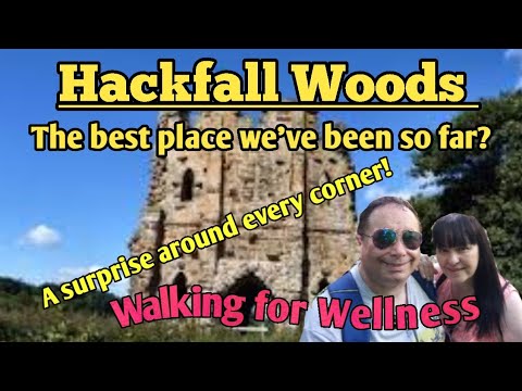 Amazing and magical walk at Hackfall Woods #hackfallwoods #woodland #waterfalls #ellofawalk