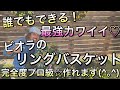 【寄せ植え】最強カワイイ！リングバスケットは実は誰にでもできる⁉ビオラ編