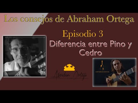 Video: ¿Cuál es la diferencia entre un abeto y un pino?