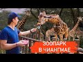 Зоопарк в Чиангмае. Один из Лучших в Мире. Невероятный Аквариум