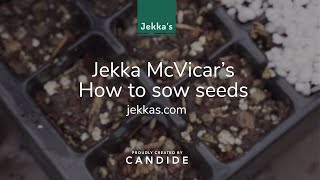 Download Lagu Jekka's Herb Growing Tips:  How to sow herb seeds MP3