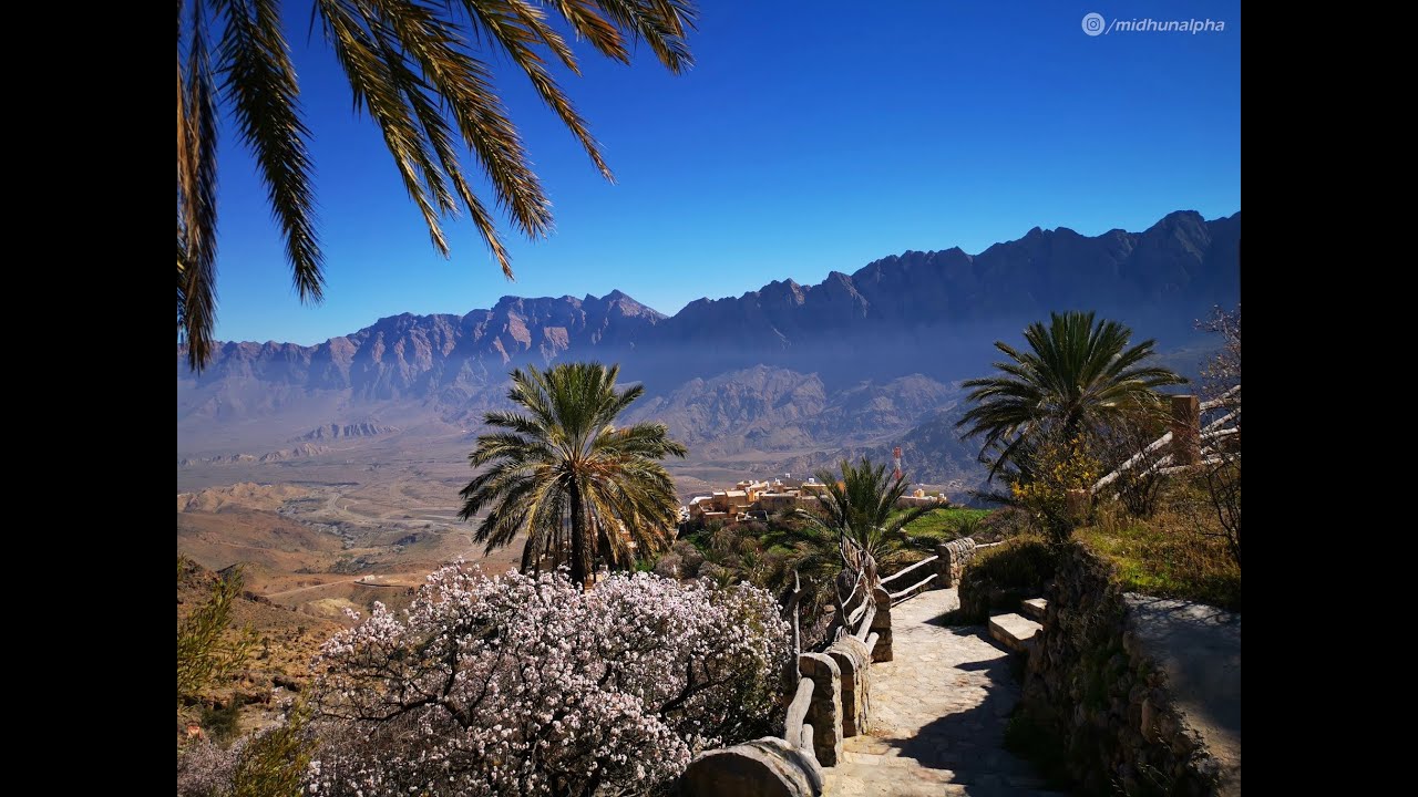 The pink blossom of Wakan