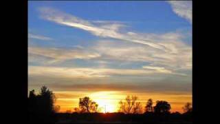Felix - Goodbye sweet Summer