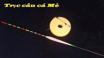 Cách buộc dây trục câu cá mè cho người mới tập câu