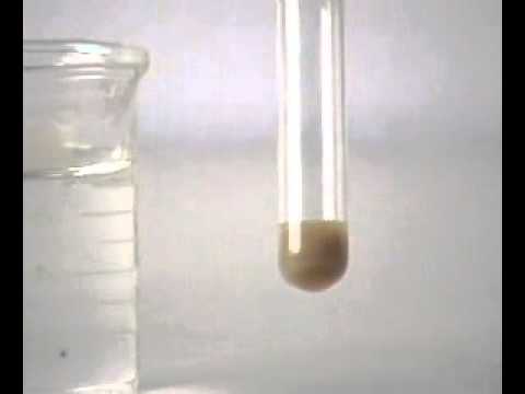 Video Phản ứng : Andehit + AgNO3 - youtube