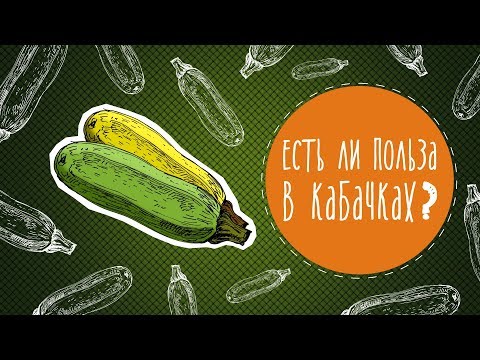 Есть ли польза в кабачках?